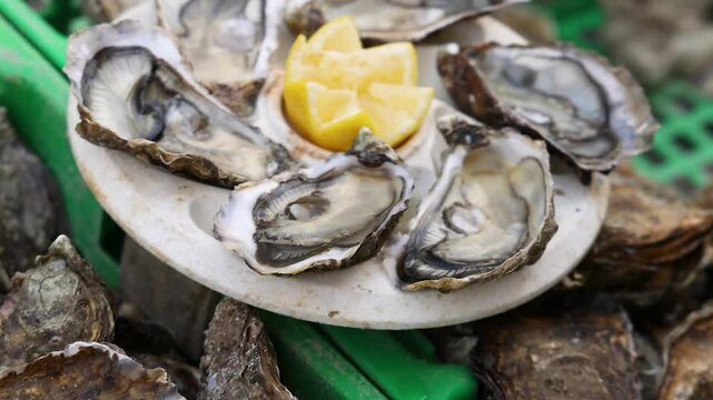 Oysters with Lemon in Libourne Market