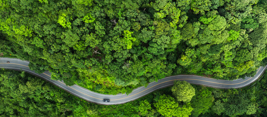 Road in the middle of the forest , Rainforest road curve construction up to mountain , Green forest Clean alternative energy concept. Environment, energy generator.