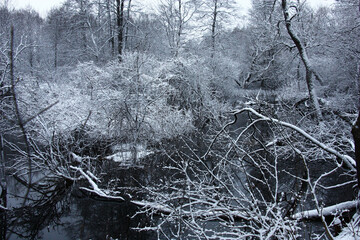 Cloudy winter day. A fragment of a forest landscape with the small river. White snow on bushes and trees. Black water.