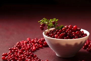 Two bowls of lingonberries with scattered berries and a branch on a burgundy