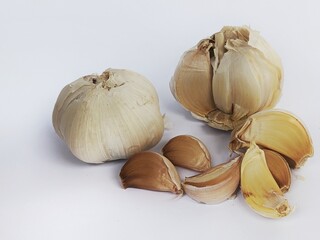 garlic