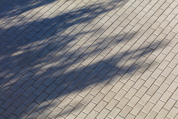 A brick sidewalk with a tree casting a shadow on it