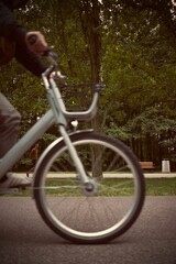 Fototapeta premium Cyclist is riding through the park with greenery trees, side shot