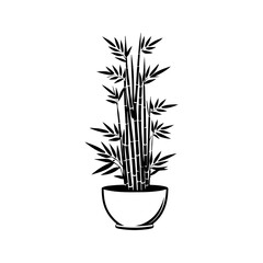 Bamboo plant in a decorative pot