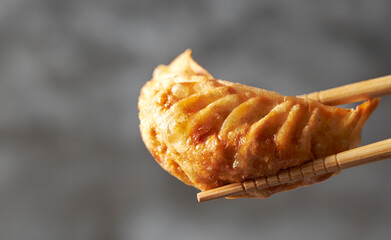 fried dumplings on a plate