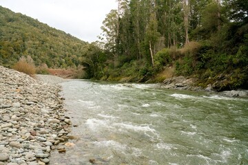 Serene River Flowing Through New Zealand's Lush Native Forest