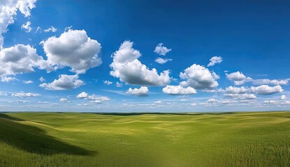 Obraz premium Expansive Sky Over Lush Green Grassland