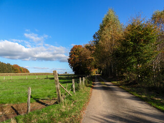country road in autumn