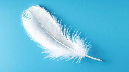 Fototapeta premium White Feather Floating on Blue Background