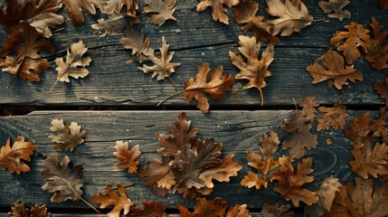 Dried Autumn Leaves on Weathered Wooden Plank