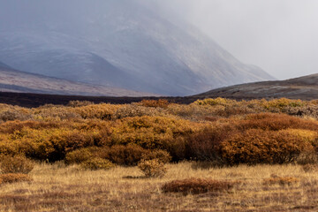 autumn landscape in mountains