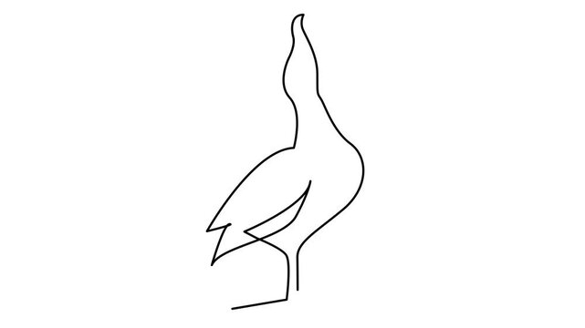 Seagulls fly over the surface of the sea. Small waves. World Maritime Day. template