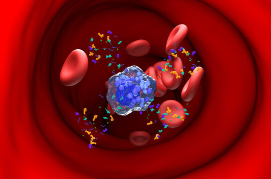 Activated mast cells starting emitting granules - section view 3d illustration