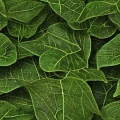 Fototapeta premium green leaves background