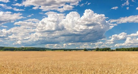 view of a beautiful rich sky