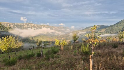 Cévennes, lever de soleil et brume