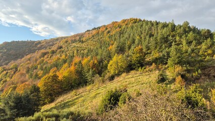 Cévennes, lever de soleil et brume