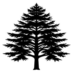 Cedar Vector Silhouette 