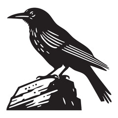 Naklejka premium Clarks nutcracker Bird illustration in black and white - Clarks nutcracker Silhouette Design 