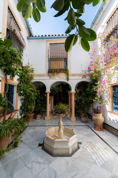 Patio tradicional andaluz con fuente central, rodeado de paredes blancas con arcos y rejas decorativas. Plantas y flores en macetas aportan color y frescura. Ambiente sereno y elegante. C&oacute;rdoba
