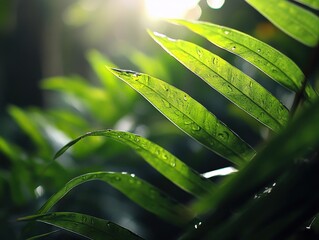 Sunlit green leaves appear vibrant and fresh, with water droplets sparkling under the gentle touch of light. Their beauty fosters a connection to nature and purity.