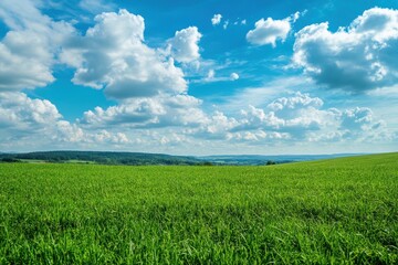 Obraz premium Gorgeous scenery of vibrant green meadows under a clear azure sky filled with distant clouds. Perfect flourishing pasture on a sunny afternoon in summer