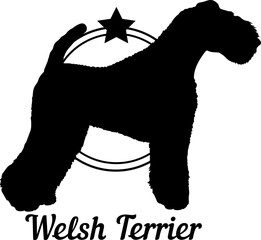 Welsh Terrier. dog silhouette,  dog, dog breeds, logo, vector, silhouette, logo design, animal, illustration, icon, sign, design, black,  symbol, pet