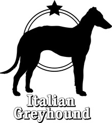  Italian Greyhound dog silhouette,  dog, dog breeds, logo, vector, silhouette, logo design, animal, illustration, icon, sign, design, black,  symbol, pet