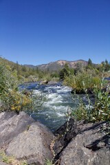 POV of a man exploring Oregon for the first time