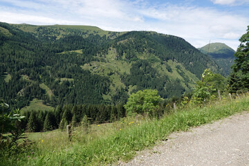 Lush Green Mountain Landscape with Dense Forest