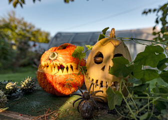 Halloween pumpkin head, carved pumpkin for Halloween, trick or treat, holiday celebration attribute