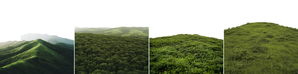 A scenic view showcases rolling green hills covered in dense vegetation, reflecting the peaceful beauty of nature in the early morning light, evoking tranquility and calmness isolated PNG