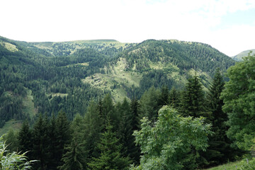 Fototapeta premium Lush Green Mountainous Landscape with Dense Forest