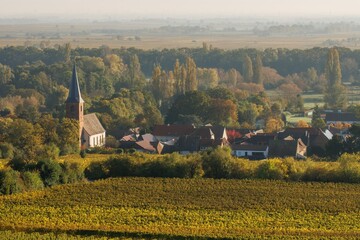 Forst an der Weinstraße
