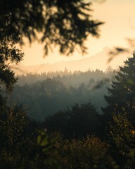 Fototapeta premium Serene forest landscape at dawn with misty hills and silhouetted trees in a tranquil atmosphere