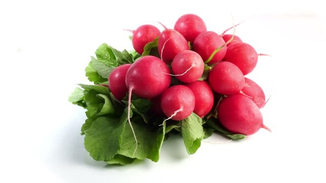 Radieschen - Isoliert