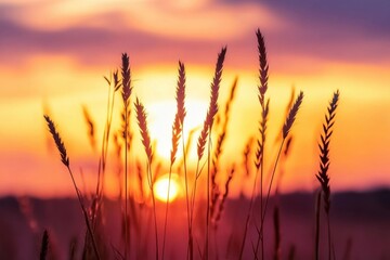 Fototapeta premium Breathtaking scenic landscape of rural areas at dusk. Vibrant green fields thriving in summer warmth. Charming surroundings. Emphasis on detailed foreground features
