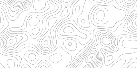 Fototapeta premium Abstract background with topographic map white background. The stylized height of the topographic map contour in black lines. gradient multicolor wave curve lines banner background design.