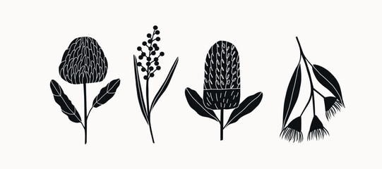 Flat vector Australian flowers. Waratah, wattle, banksia, eucalyptus © Maria