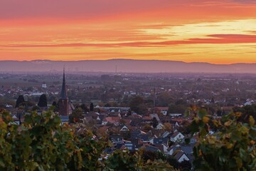 Deidesheim an der Weinstraße im Sonnenaufgang