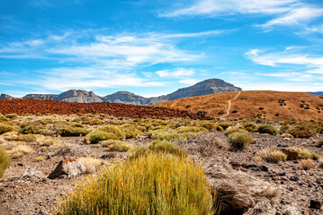 Volcanic landscape, Island Tenerife, Canary Islands, Spain, Europe.