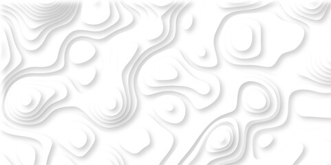 paper cut 3d render topography abstract, beautiful white Background. geometric map relief texture with curved layers and shadow. Realistic papercut decoration textured with wavy vector design.