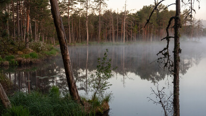 sunrise, sunset landscape by the marsh lake, morning fog, reflections in the water, traditional...