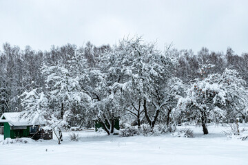 garden in winter, covered with snow, fruit trees, garden house and garden accessories
