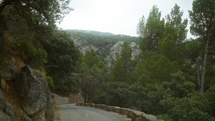 Mountain road winding through dense pine forest and rocky cliffs on a cloudy day in a serene landscape.