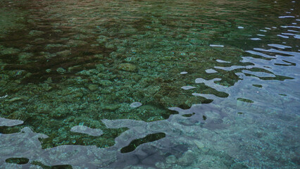Crystal clear river water with visible rocks below the surface showcasing a serene nature scene