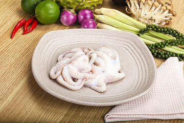 Delicous fresh raw uncooked octopus