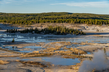 Porcelain Basin at Norris Geyser Basin. Yellowstone National Park , Wyoming. Hydrothermal System