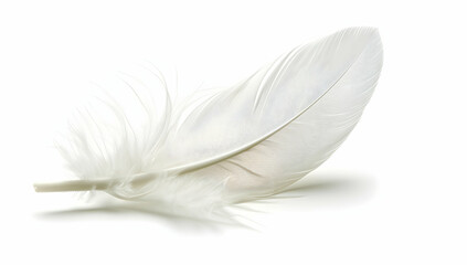 Obraz premium A single white feather isolated on a transparent background