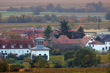 Altes Teehaus in Ruppertsberg Pfalz